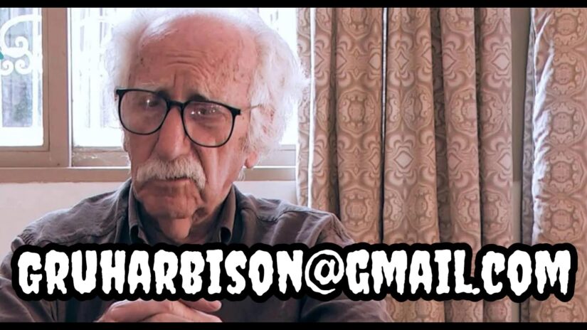 Who Is GRU HARBISON?